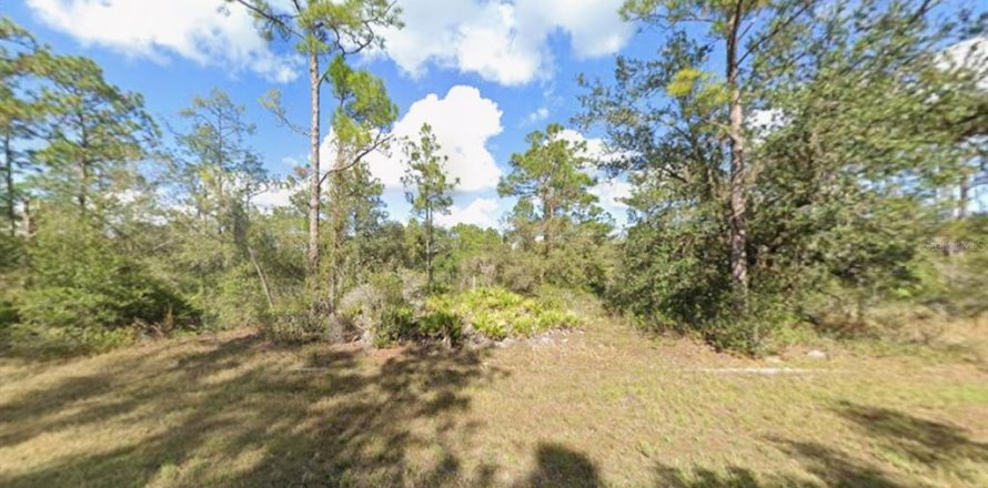 Land in Indian lake estates, Florida № 2158869
