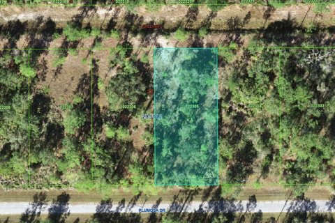 Land in Indian lake estates, Florida № 2158869 - photo 4