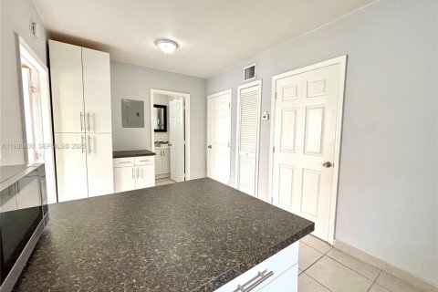 Снять в аренду виллу или дом в Майами, Флорида 1 спальня, 52.58м2, № 1990867 - фото 6