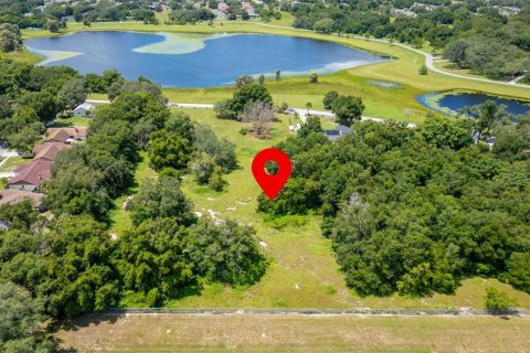 Terreno en venta en Orlando, Florida № 1420835 - foto 2