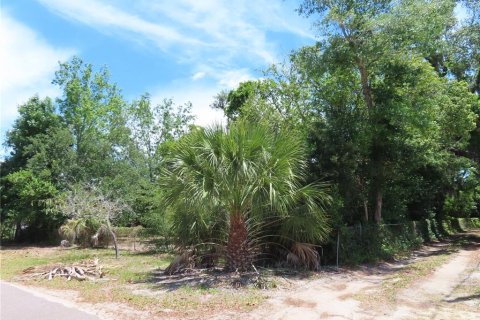 Terrain à vendre à Palm Harbor, Floride № 2195181 - photo 6