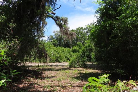 Terrain à vendre à Palm Harbor, Floride № 2195181 - photo 5