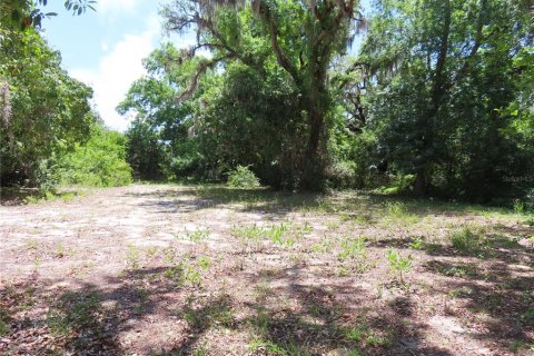 Terrain à vendre à Palm Harbor, Floride № 2195181 - photo 7
