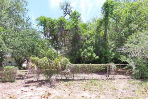 Terrain à vendre à Palm Harbor, Floride № 2195181 - photo 4