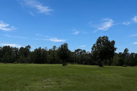 Land in Brooksville, Florida № 2363285
