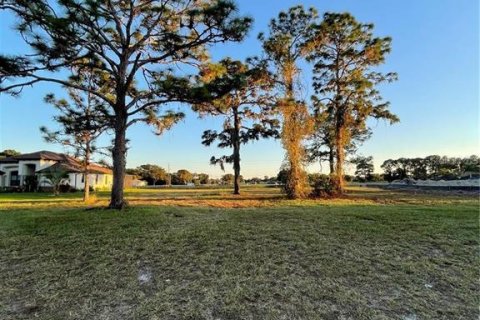 Land in Rotonda, Florida № 1690451 - photo 2