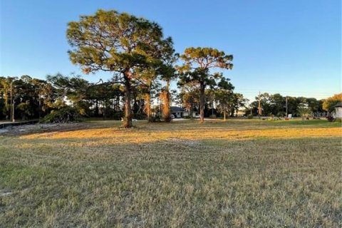 Land in Rotonda, Florida № 1690451 - photo 4