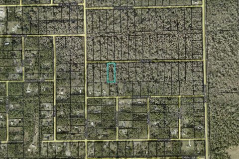 Land in Bunnell, Florida № 2161221