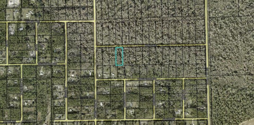 Terrain à Bunnell, Floride № 2161221
