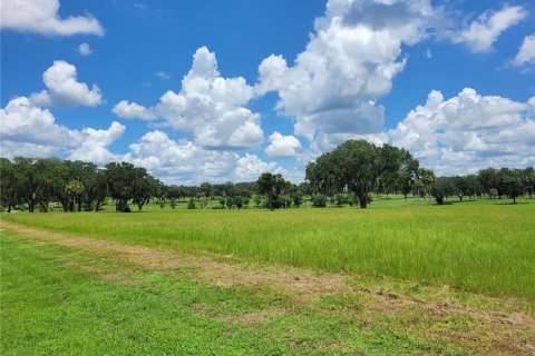 Terrain à vendre à Summerfield, Floride № 1254068 - photo 4