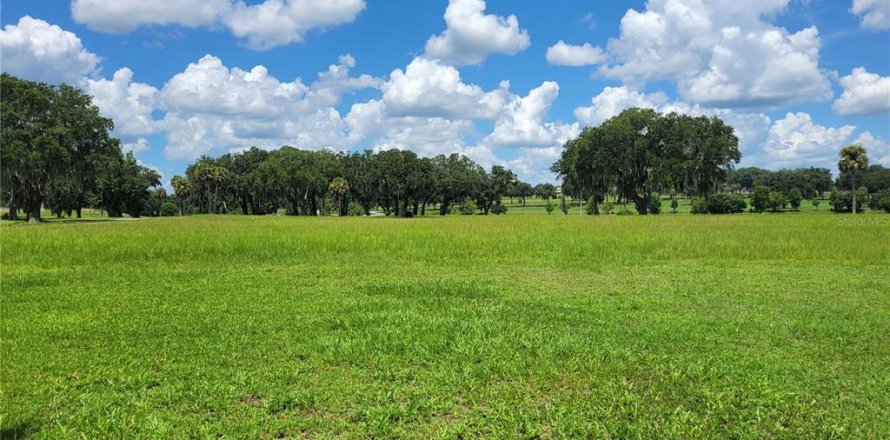 Terrain à Summerfield, Floride № 1254068