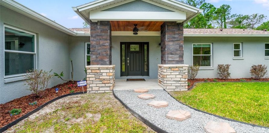 House in Wesley Chapel, Florida 4 bedrooms, 202.06 sq.m. № 1627037