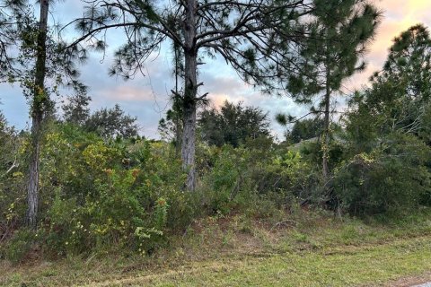 Land in North Port, Florida № 2163074