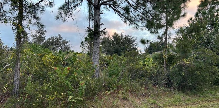 Land in North Port, Florida № 2163074