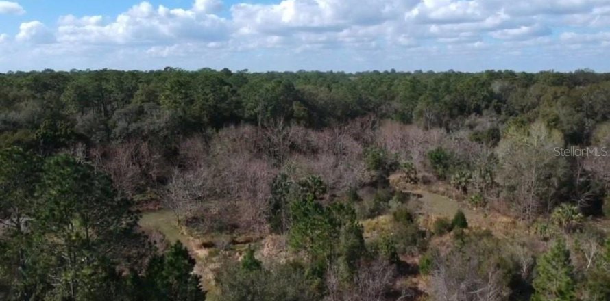 Land in Paisley, Florida № 836086