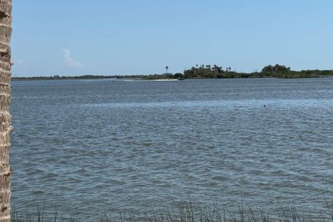 Land in Citrus Springs, Florida № 2229032 - photo 7