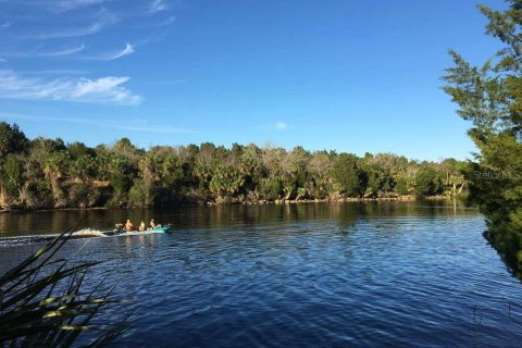 Land in Citrus Springs, Florida № 2229032 - photo 17