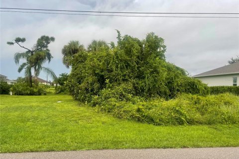 Terrain à Punta Gorda, Floride № 2235040