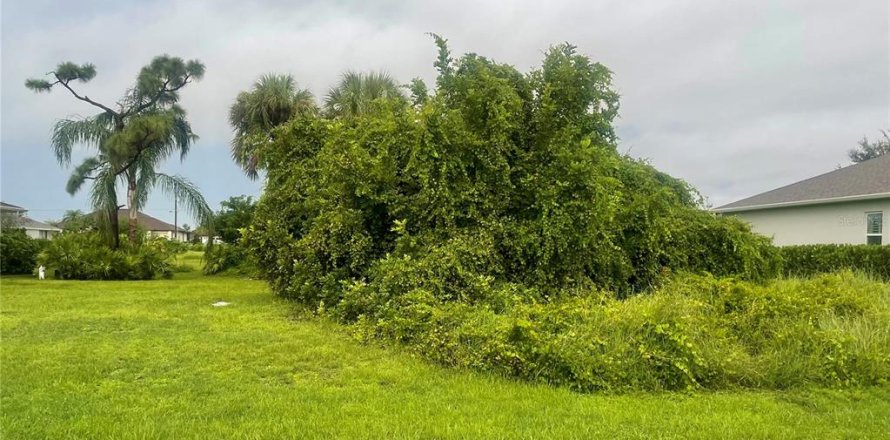 Terrain à Punta Gorda, Floride № 2235040
