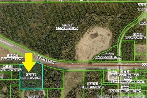 Land in Brooksville, Florida № 1530931 - photo 4