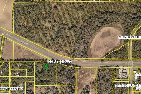 Land in Brooksville, Florida № 1530931 - photo 13