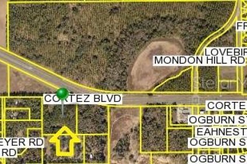Land in Brooksville, Florida № 1530931 - photo 6