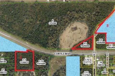 Land in Brooksville, Florida № 1530931 - photo 10