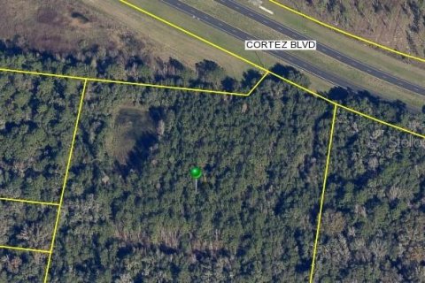 Land in Brooksville, Florida № 1530931 - photo 8