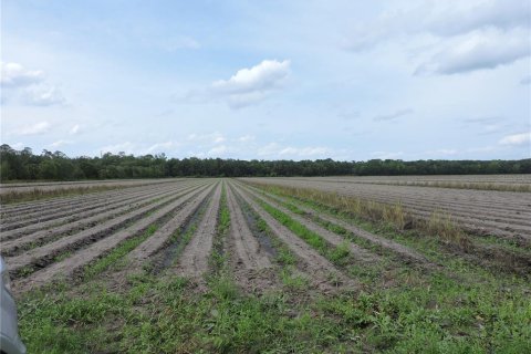Land in Bunnell, Florida № 1894945 - photo 1
