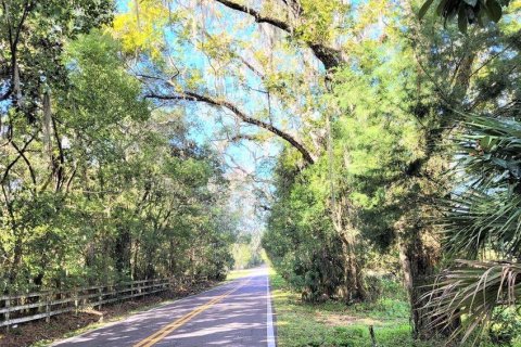 Terreno en venta en Brooksville, Florida № 1070900 - foto 5