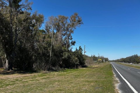 Terreno en venta en Belleview, Florida № 1526251 - foto 1