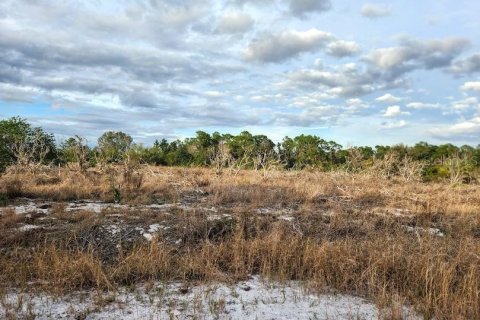 Terreno en venta en Frostproof, Florida № 1555405 - foto 1