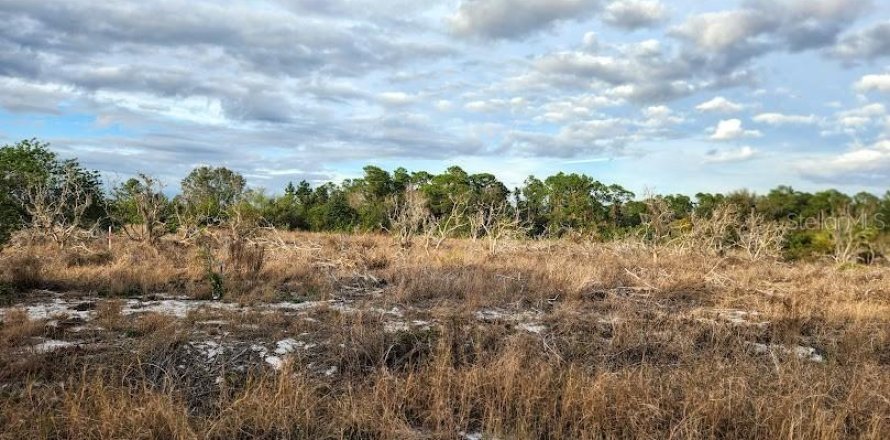 Terreno en Frostproof, Florida № 1555405