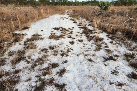 Terreno en venta en Frostproof, Florida № 1555405 - foto 12