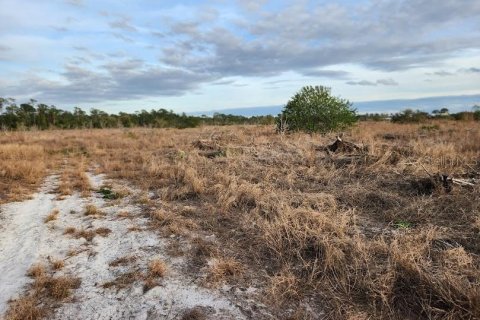 Terreno en venta en Frostproof, Florida № 1555405 - foto 13