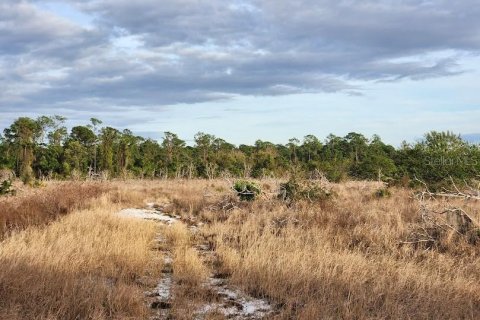 Terreno en venta en Frostproof, Florida № 1555405 - foto 19