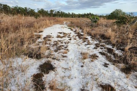 Terreno en venta en Frostproof, Florida № 1555405 - foto 14