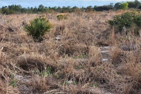 Terreno en venta en Frostproof, Florida № 1555405 - foto 20