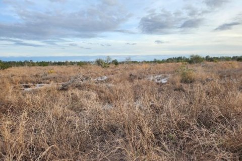 Terreno en venta en Frostproof, Florida № 1555405 - foto 10