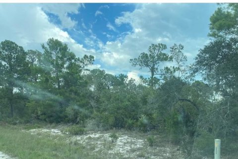 Propiedad comercial en Lake Placid, Florida № 2173301