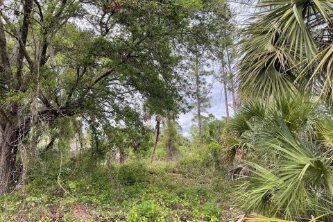 Terreno en venta en North Port, Florida № 2159498 - foto 5