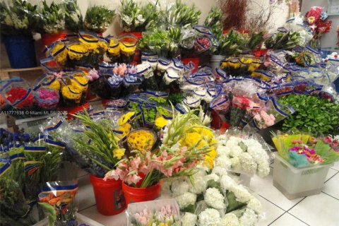 Купить коммерческую недвижимость в Майами, Флорида № 2037561 - фото 3