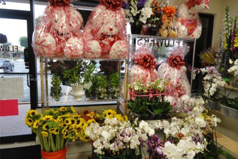 Купить коммерческую недвижимость в Майами, Флорида № 2037561 - фото 2