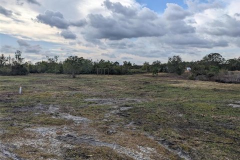 Terreno en venta en Lake Wales, Florida № 1814983 - foto 5