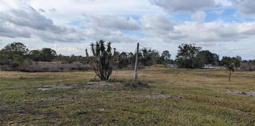 Land in Lake Wales, Florida № 1814983