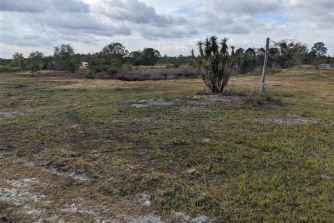 Terreno en venta en Lake Wales, Florida № 1814983 - foto 6