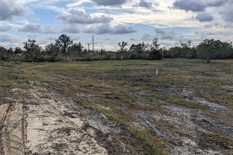 Terreno en venta en Lake Wales, Florida № 1814983 - foto 4