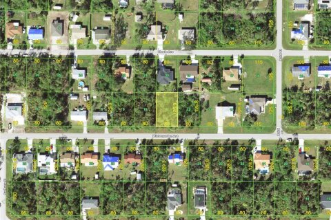 Land in Port Charlotte, Florida № 2379531 - photo 2