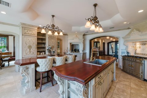 Casa en venta en Jupiter Island, Florida, 7 dormitorios, 680.32 m2 № 2246458 - foto 17