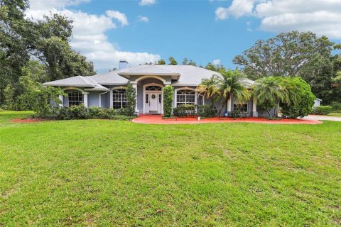 Villa ou maison à vendre à Lakeland, Floride: 4 chambres, 215.44 m2 № 1824499 - photo 1